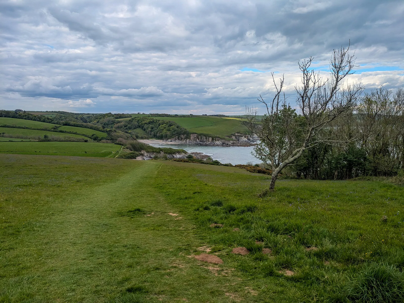 Photo at Gribbin Head, Fowey