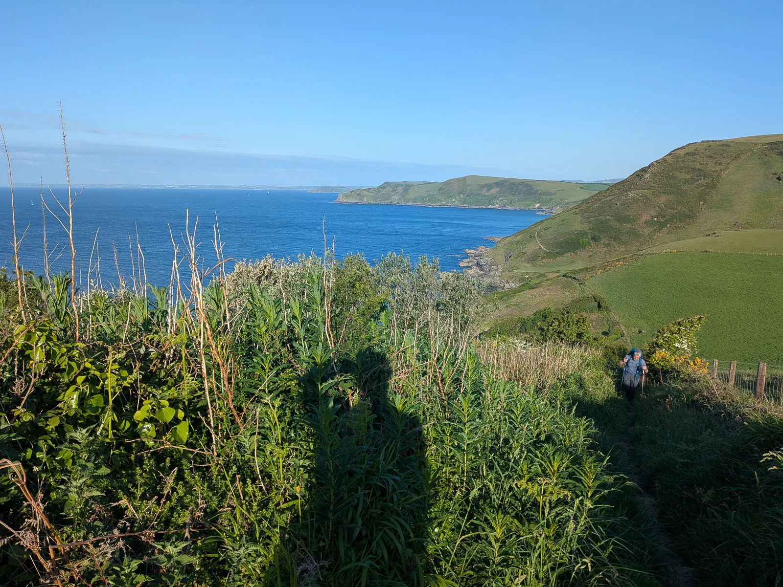 Photo at Polperro