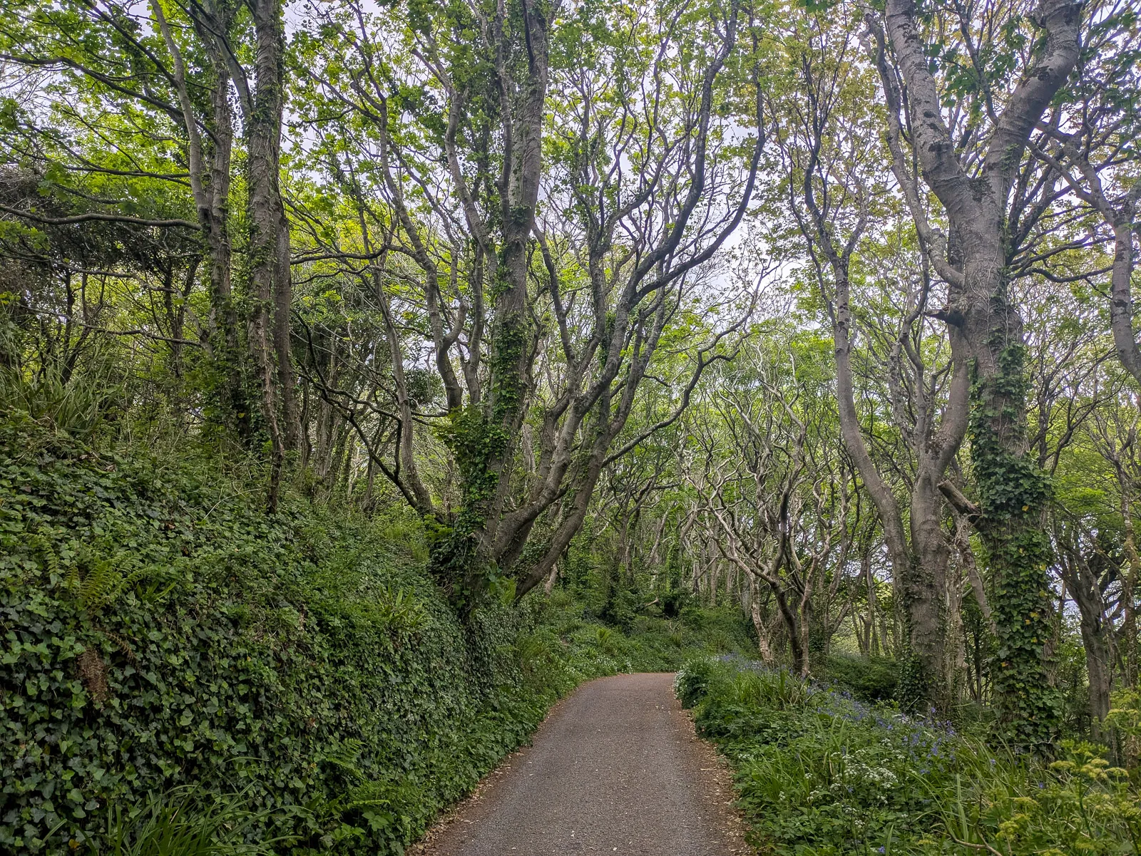 Photo at Cawsand