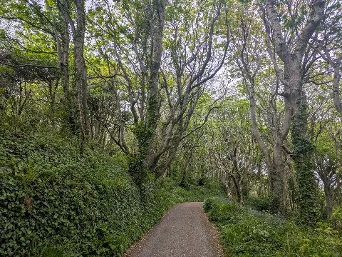Photo at Cawsand
