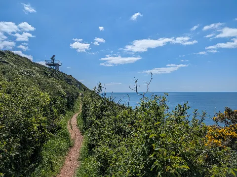 Photo at Wembury