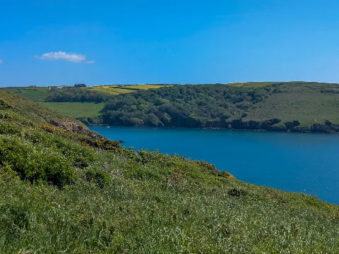 Photo at Wembury