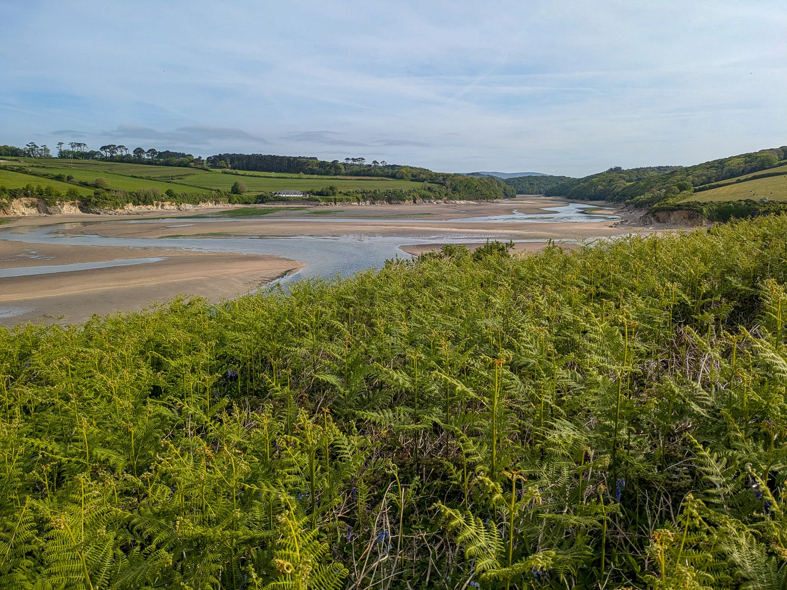 Photo at Mothecombe, South Hams