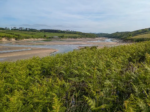 Photo at Mothecombe