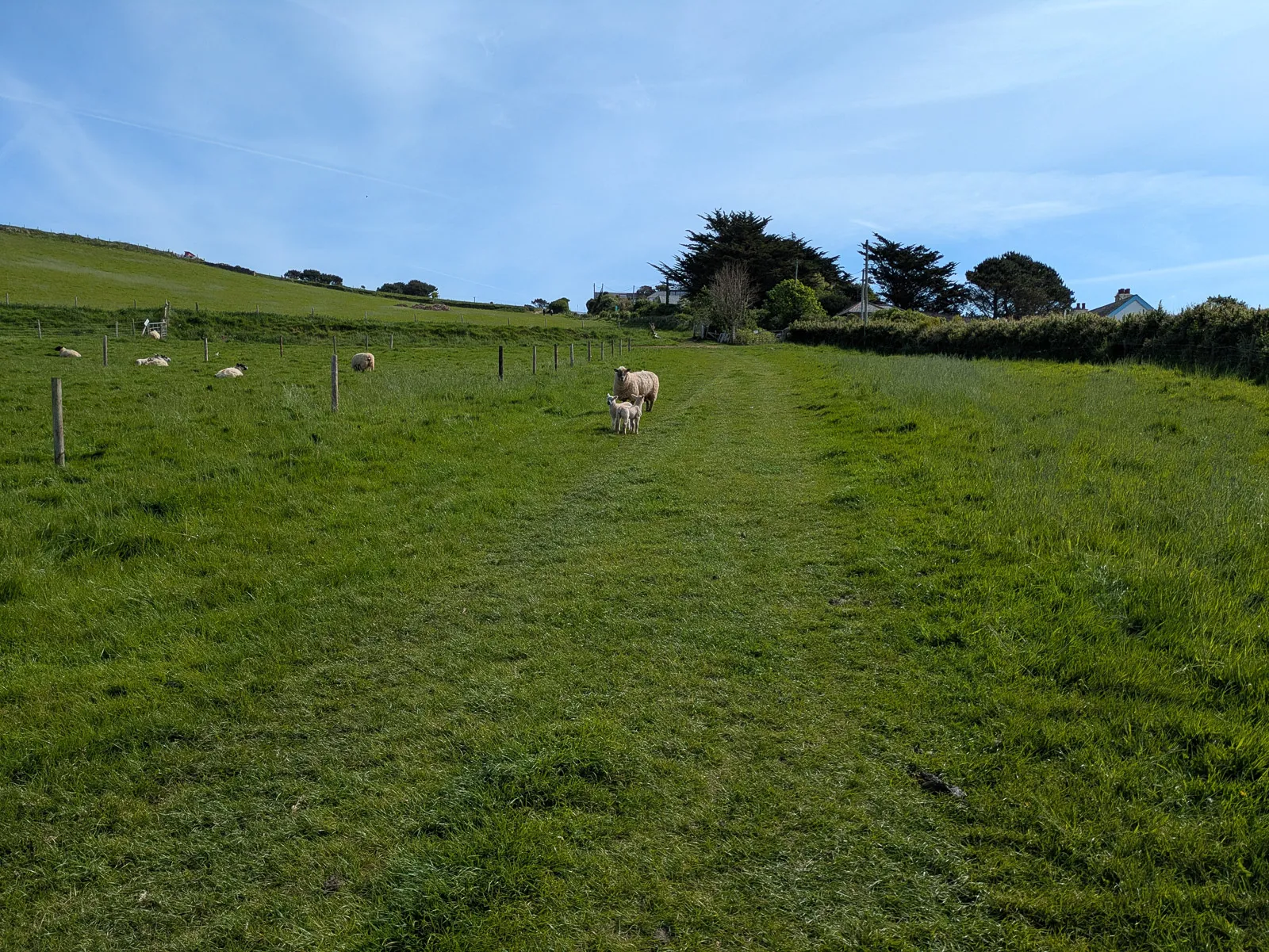 Photo at Bigbury-on-Sea, South Hams
