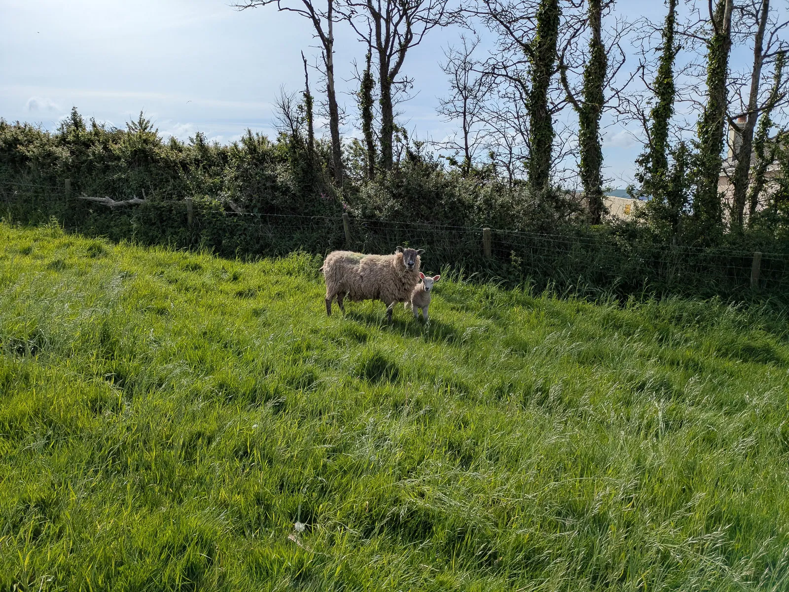 Photo at Bigbury-on-Sea, South Hams