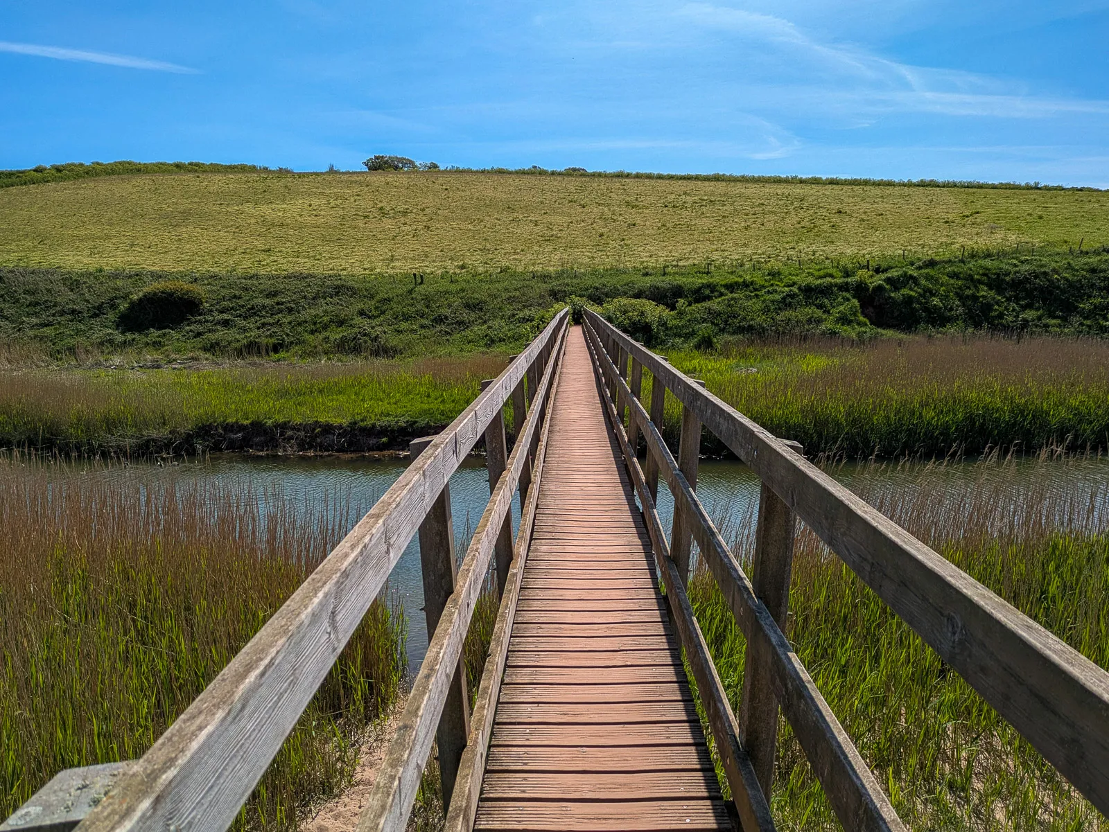 Photo at near Hope Cove, South Hams