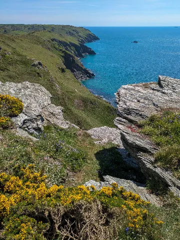 Photo at Bolberry Down