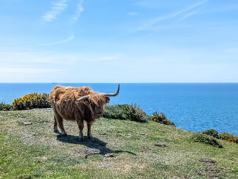 Photo at Bolberry Down
