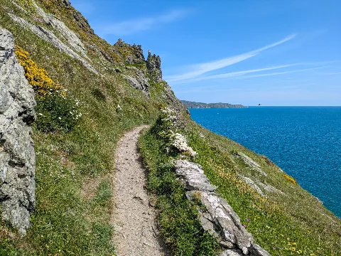 Photo at Salcombe