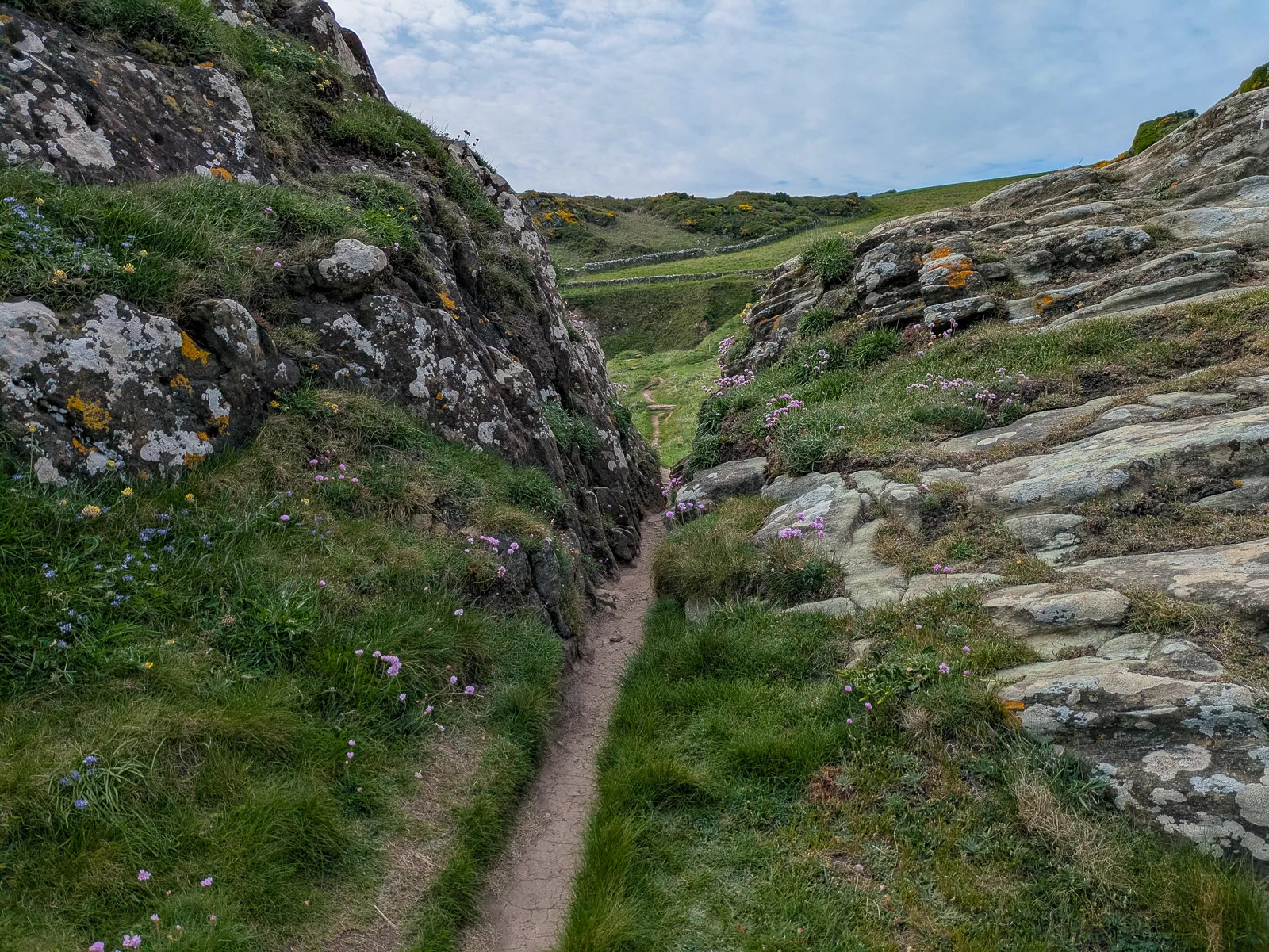 Photo at Prawle Point, South Hams