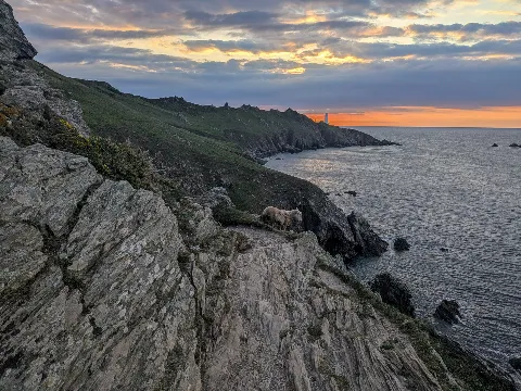 Photo at Beesands