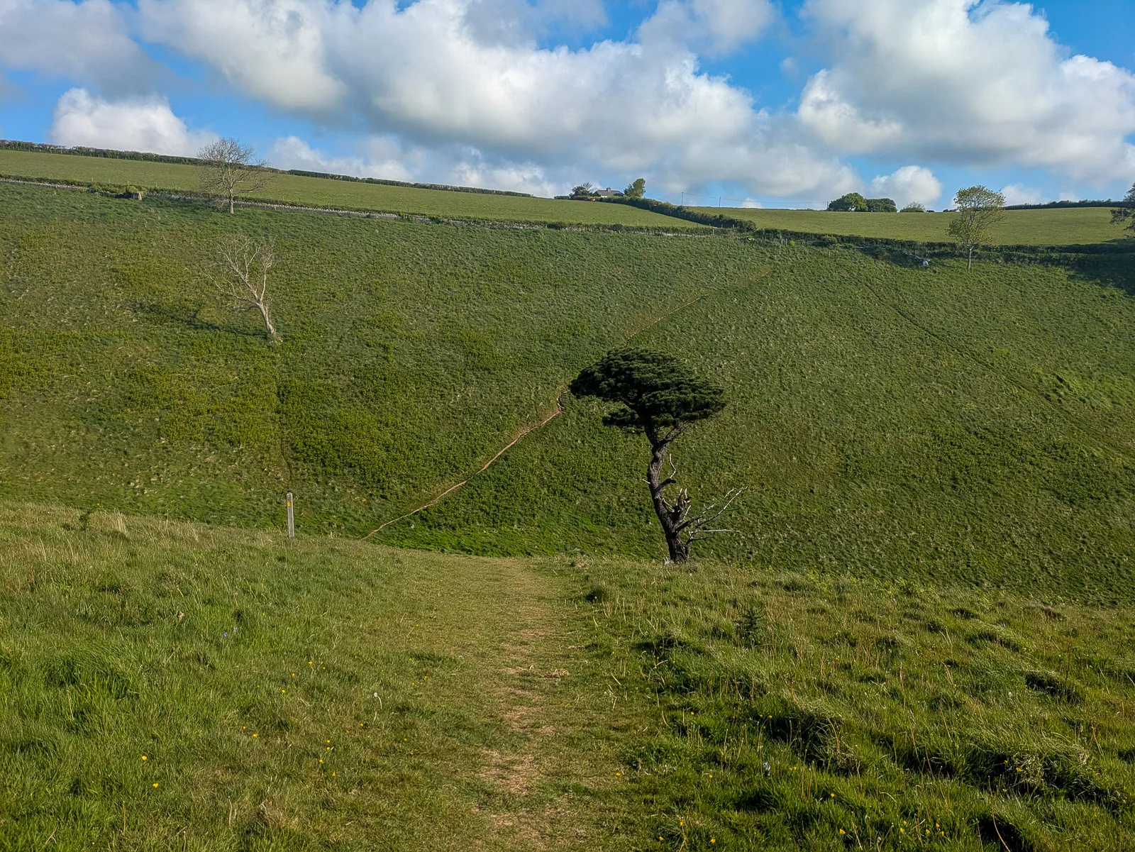 Photo at Blackpool Sands, South Hams