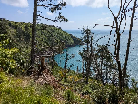 Photo at near Kingswear