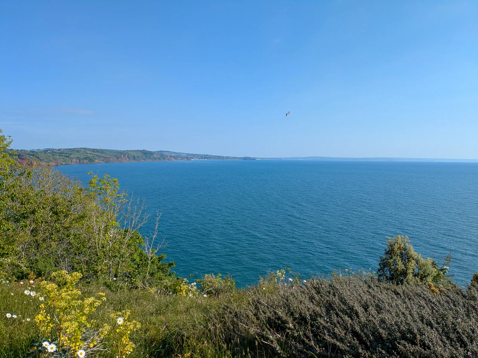 Photo at Babbacombe, Torquay