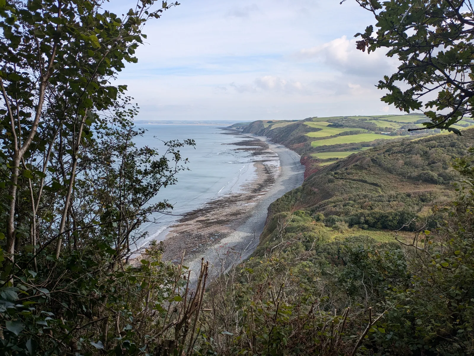 Photo at Peppercombe, Torridge