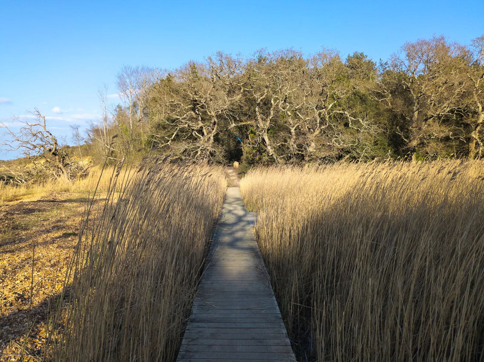Photo at Bouldnor