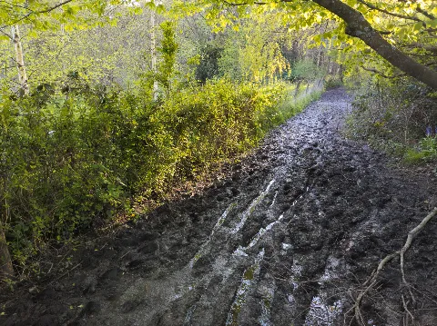 Photo at near Shalfleet
