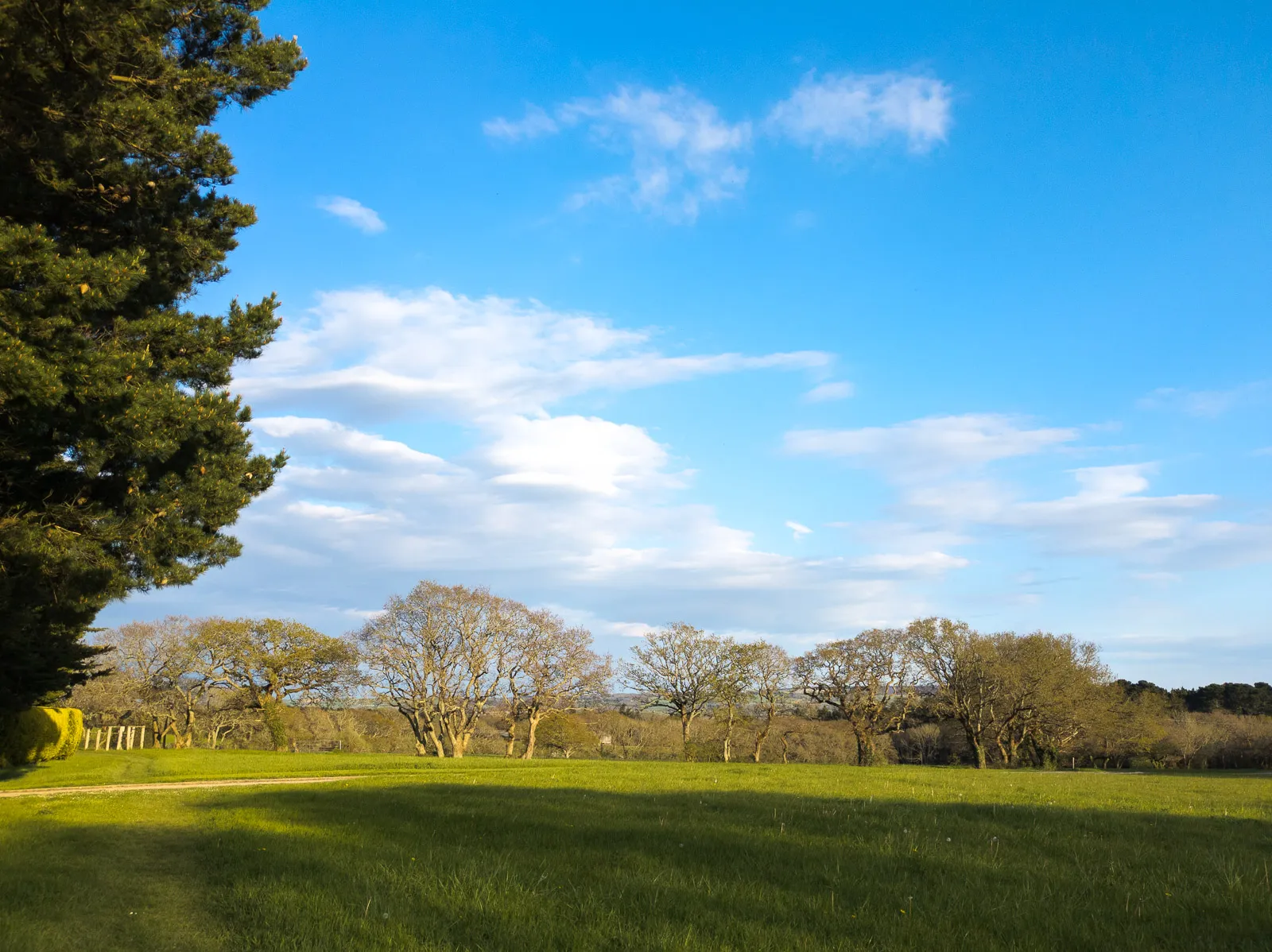 Photo at near Shalfleet