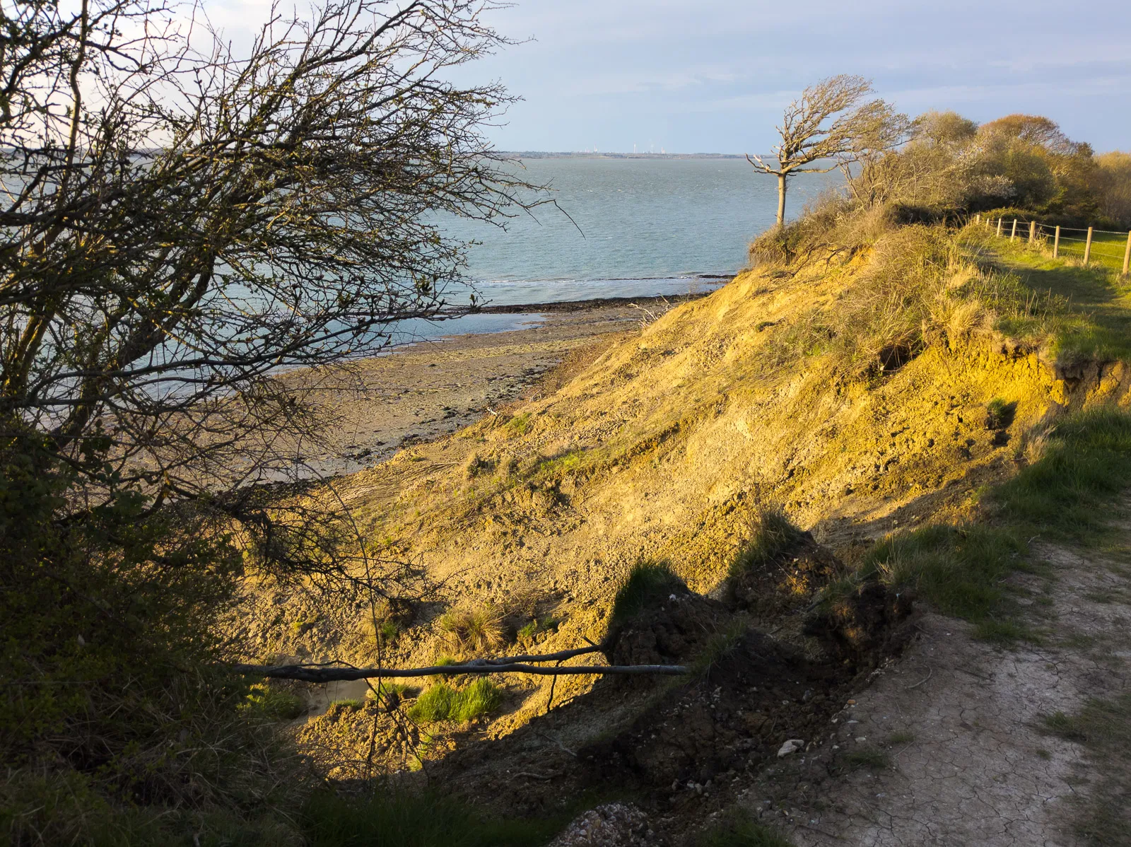 Photo at Shalfleet
