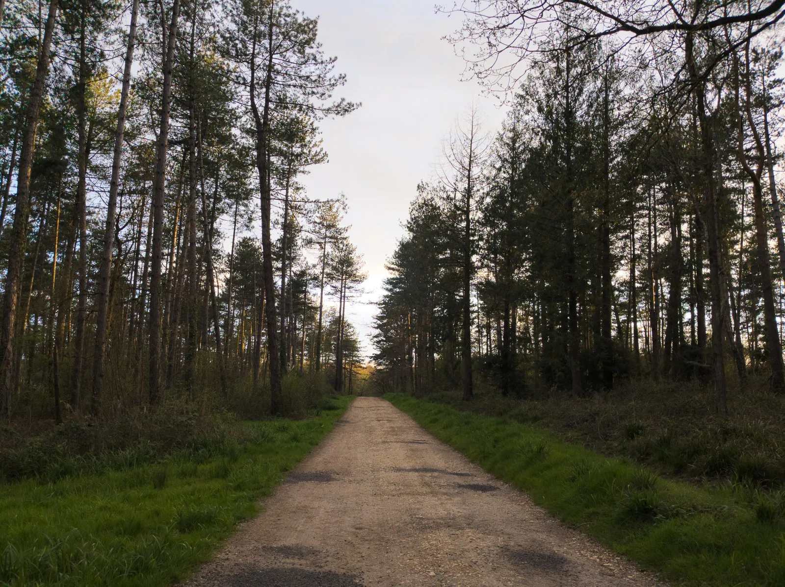 Photo at Hamstead