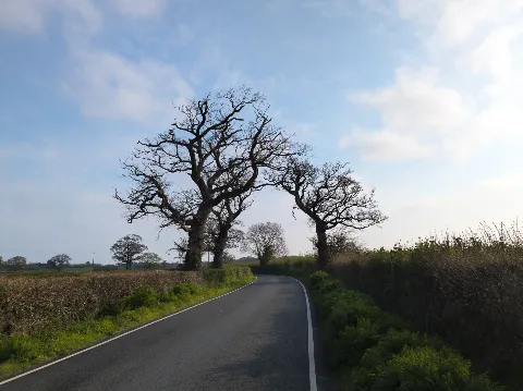 Photo at Shalfleet
