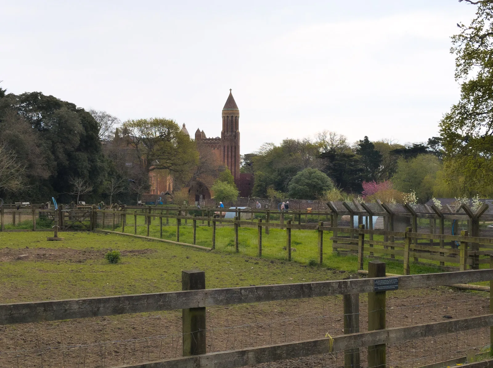 Photo at Fishbourne