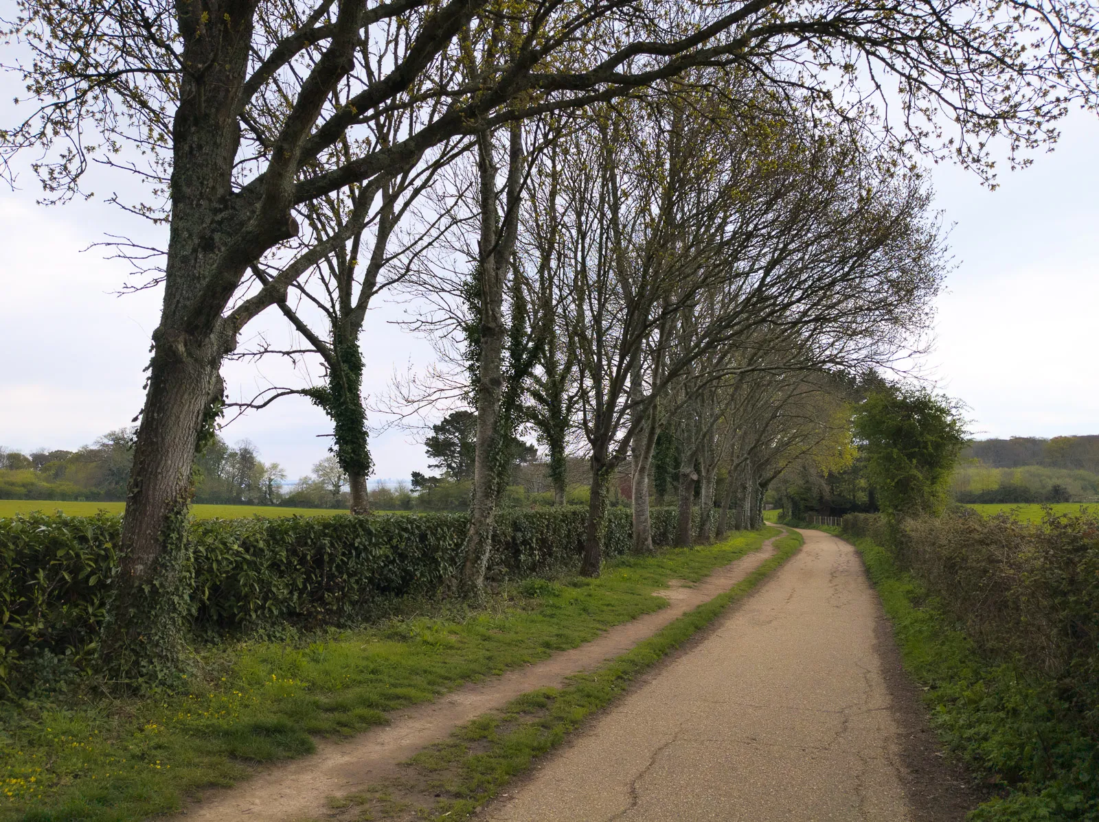 Photo at Binstead, Ryde