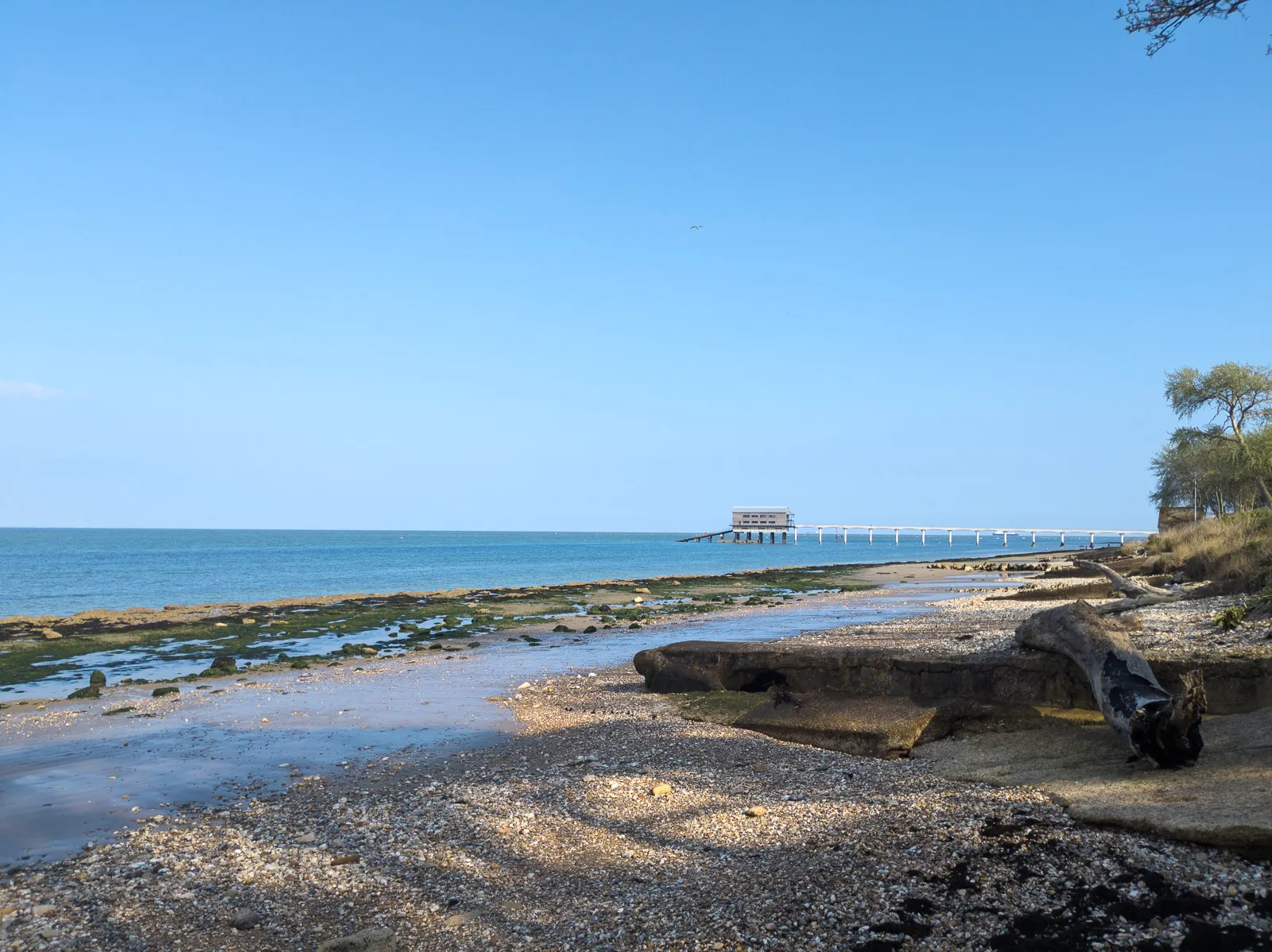 Photo at Bembridge