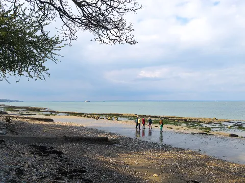 Photo at Bembridge