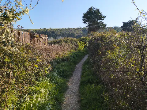 Photo at Bembridge