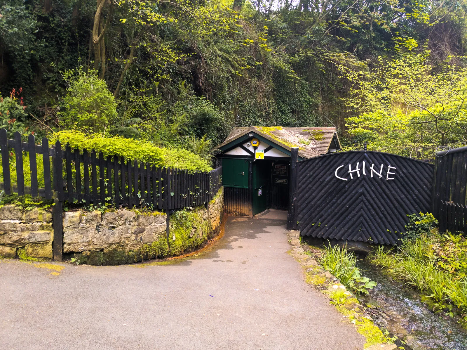 Photo at Luccombe, Shanklin