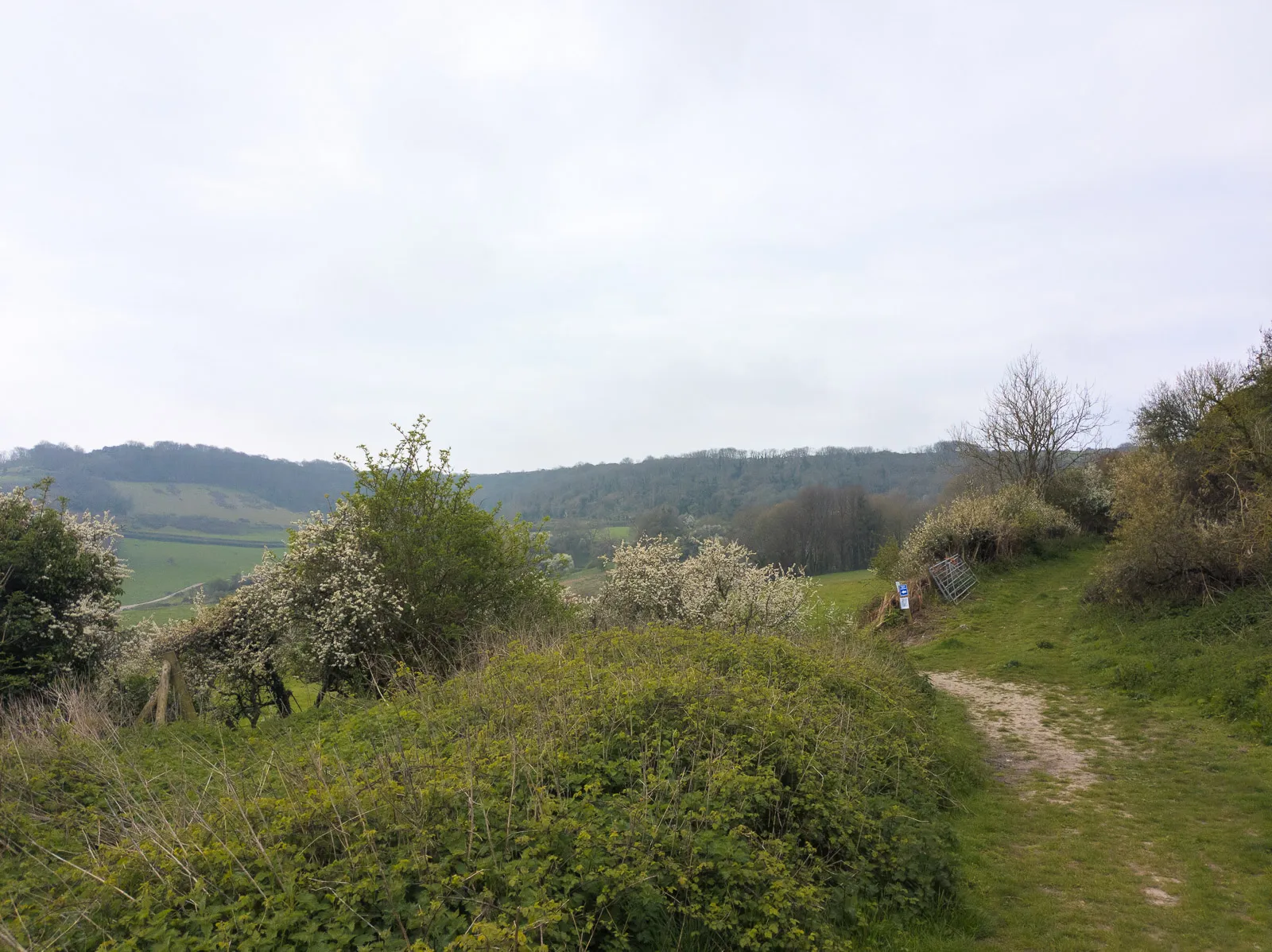 Photo at Luccombe, Shanklin