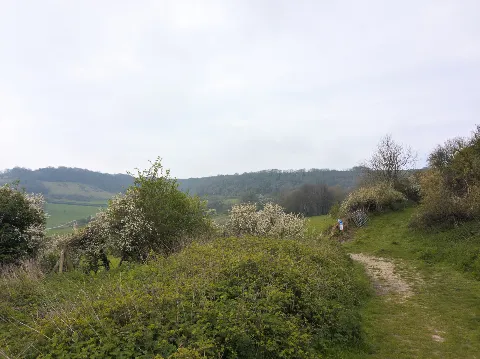 Photo at Luccombe