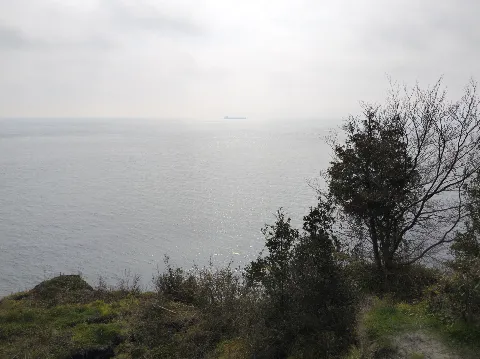 Photo at Bonchurch