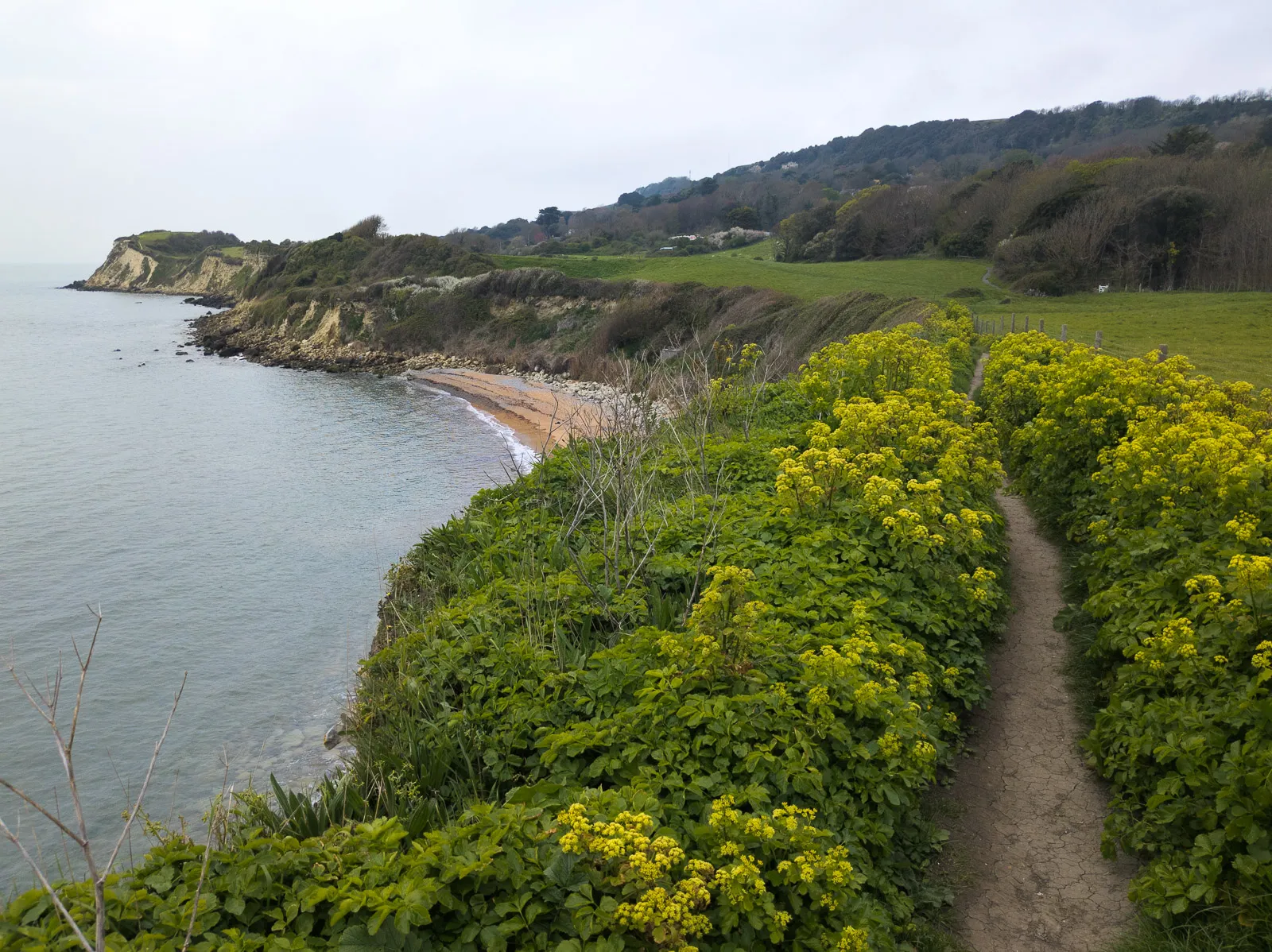 Photo at St Lawrence