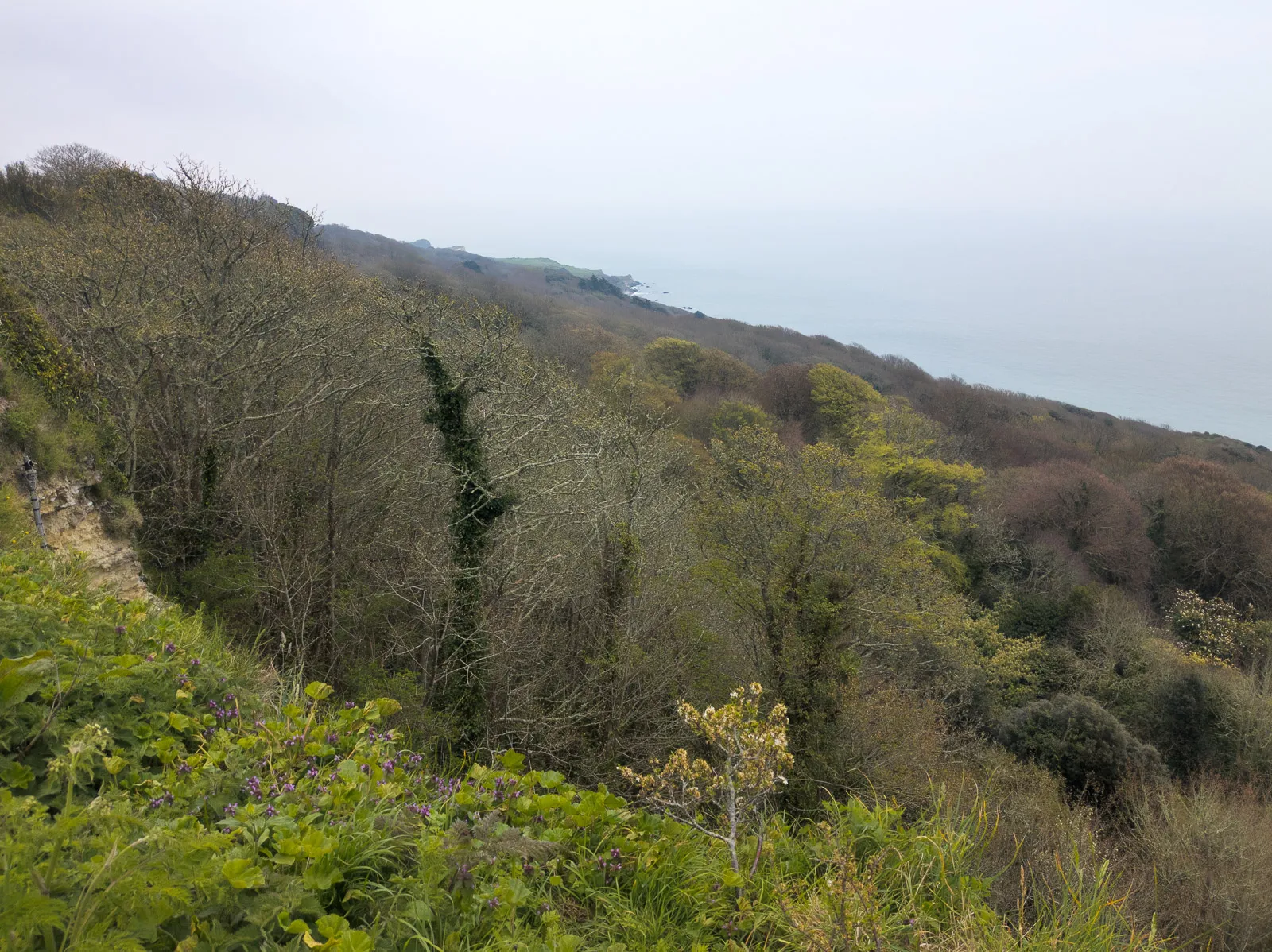 Photo at St Lawrence, Ventnor