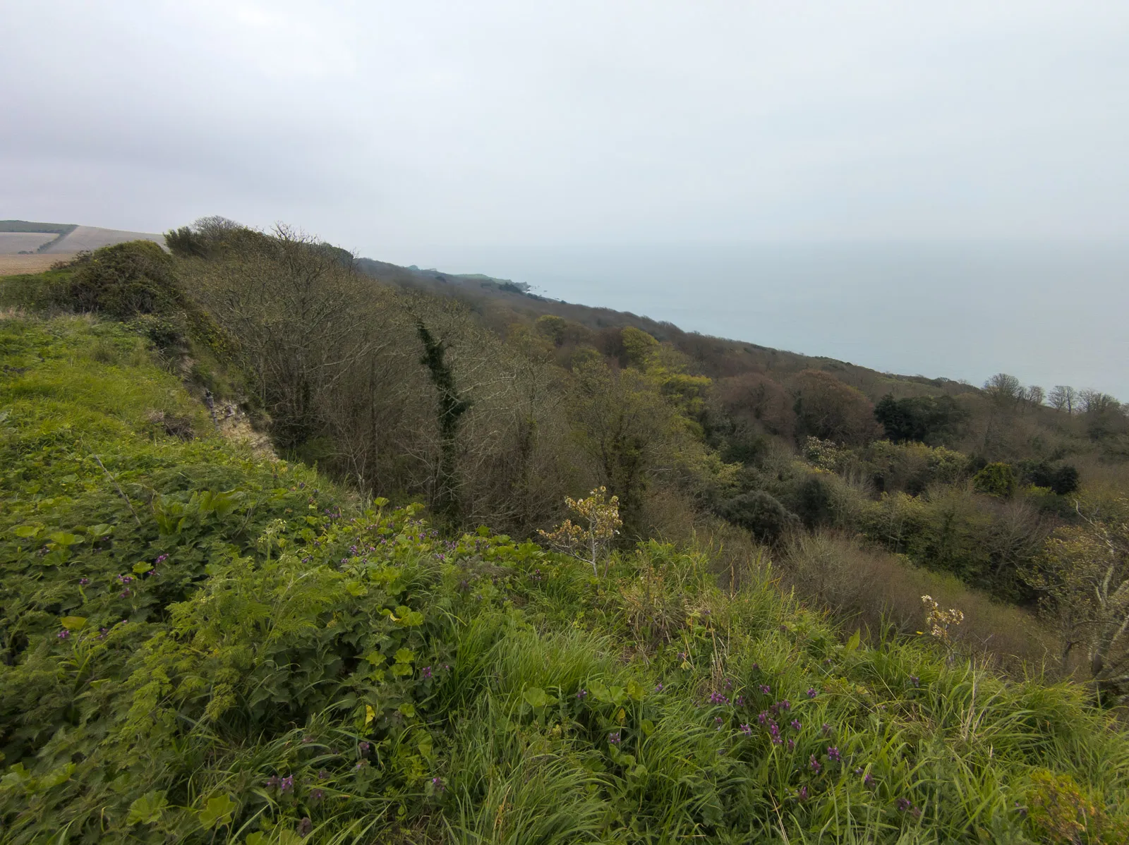 Photo at St Lawrence, Ventnor