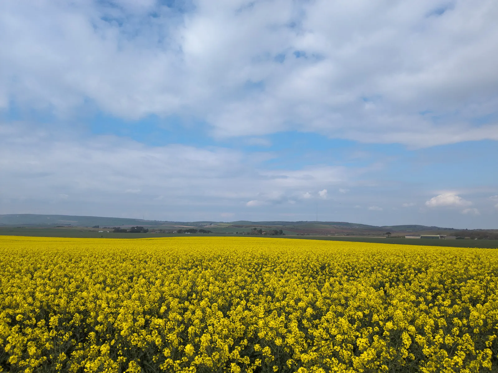 Photo at Atherfield