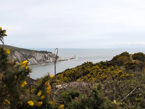Photo at Alum Bay
